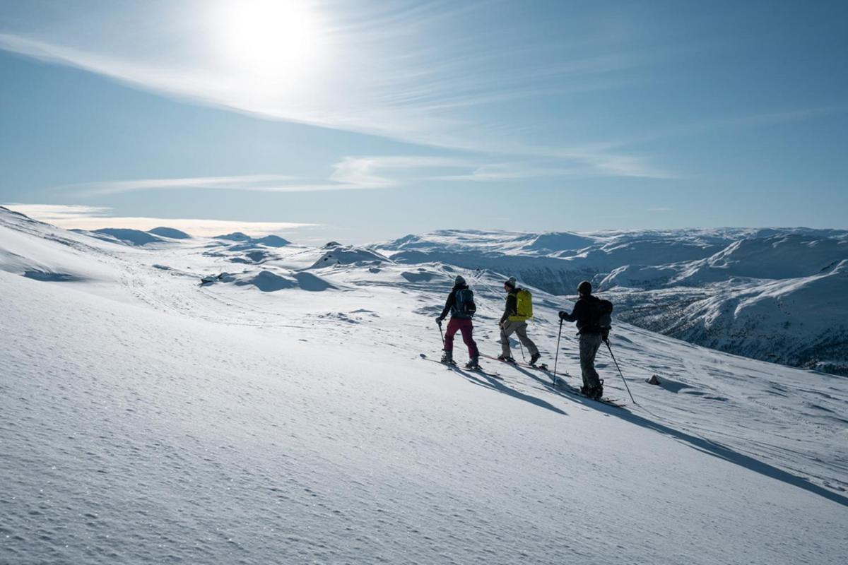 Harahorn Fjellgard 호텔 Grøndalen 외부 사진