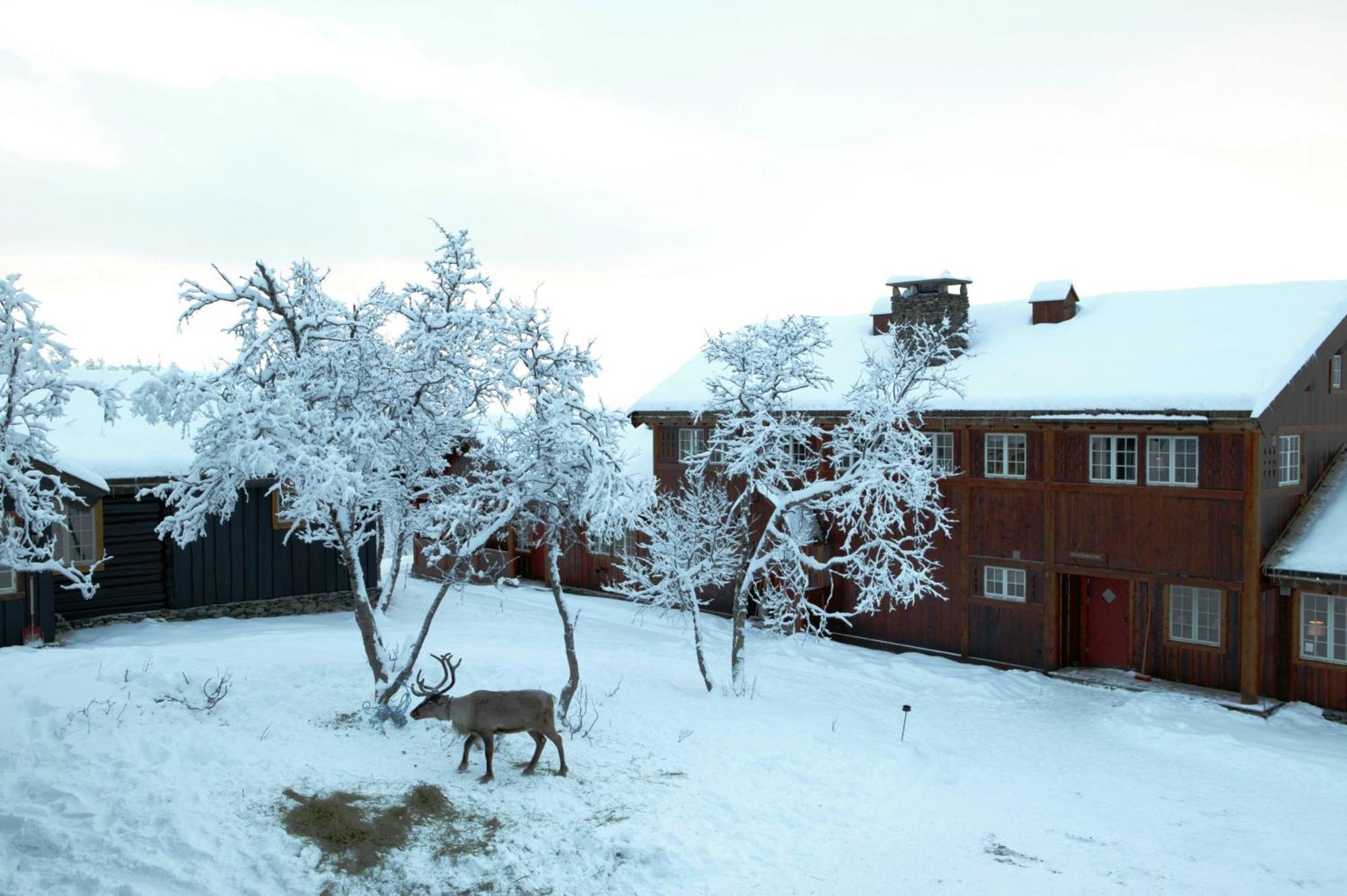 Harahorn Fjellgard 호텔 Grøndalen 외부 사진