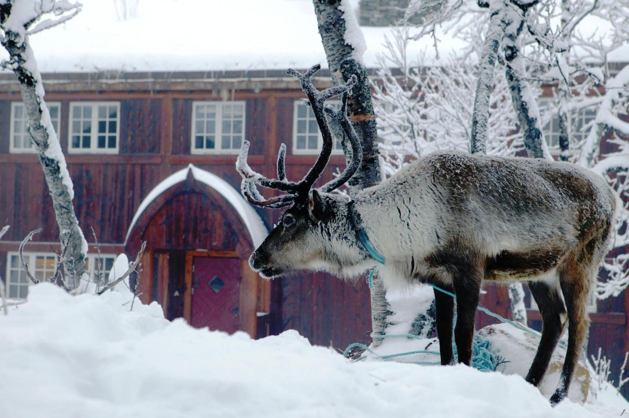 Harahorn Fjellgard 호텔 Grøndalen 외부 사진